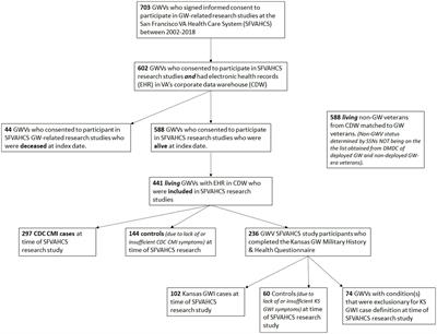 Examining the current health of Gulf War veterans with the veterans affairs frailty index